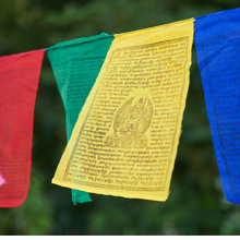 Charger l&#39;image dans la galerie, Drapeaux de prières Tibétains